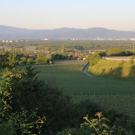 Apartment Tuniberglounge - Moderne, Helle Und Großzügige Freiburg im Breisgau